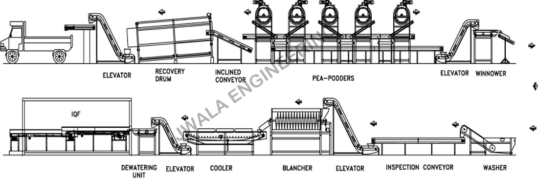 Green Peas Processing Plant