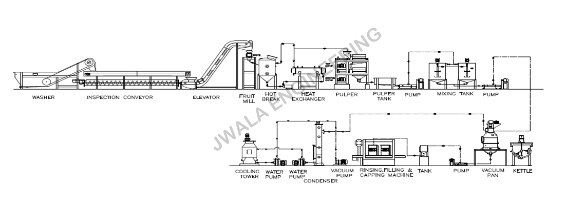 Tomato Processing Machine