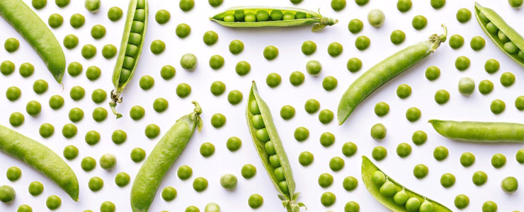 Green Peas Processing Plant